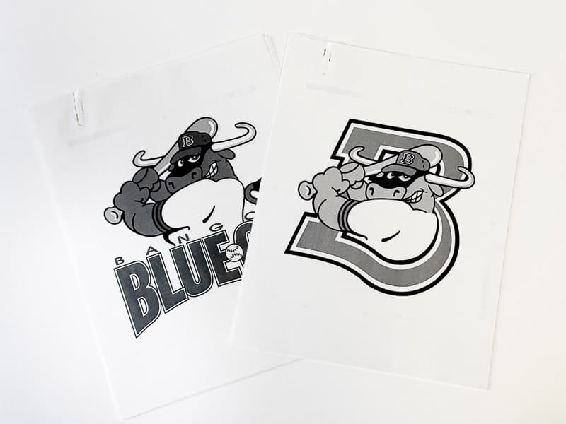Color Separations: Primary Logo & Cap Logo