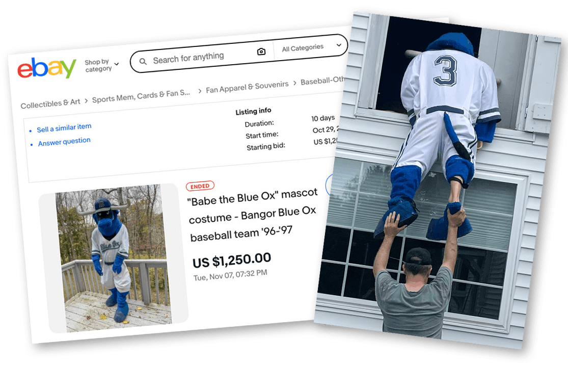 Babe the Blue Ox — eBay listing and attic move